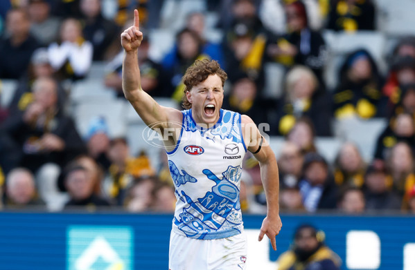 AFL 2025 Round 10 - Richmond v North Melbourne - A-59545427