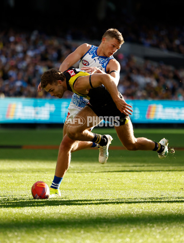 AFL 2025 Round 10 - Richmond v North Melbourne - A-59554732