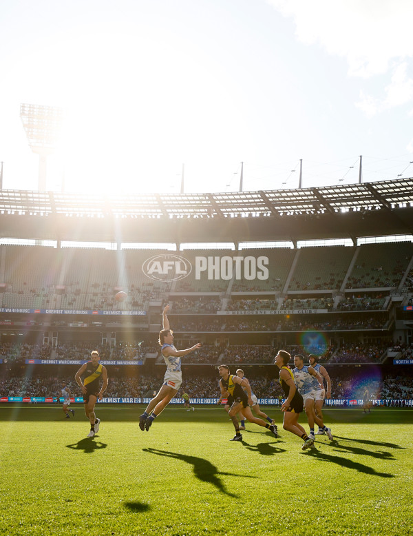 AFL 2025 Round 10 - Richmond v North Melbourne - A-59554743