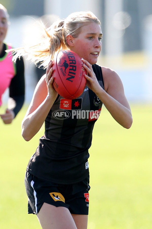 AFLW 2025 Training - Collingwood 210525 - A-59593594