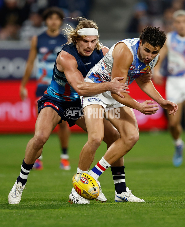 AFL 2025 Round 11 - Geelong v Western Bulldogs - A-59604166
