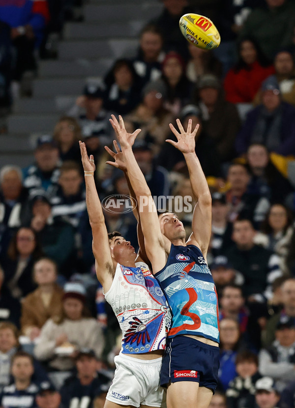 AFL 2025 Round 11 - Geelong v Western Bulldogs - A-59606743