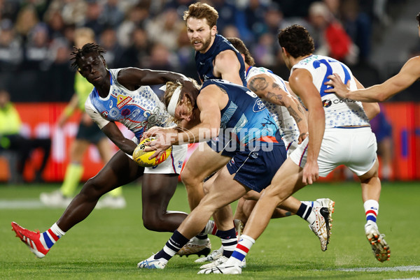 AFL 2025 Round 11 - Geelong v Western Bulldogs - A-59609094