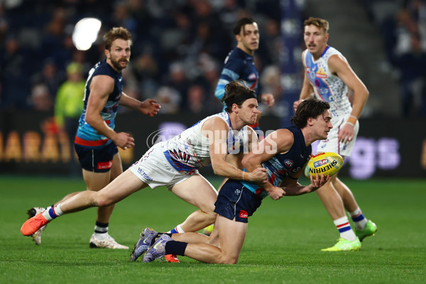 AFL 2025 Round 11 - Geelong v Western Bulldogs - A-59609109