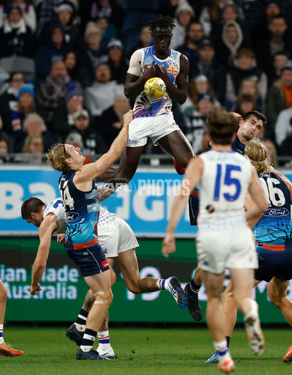 AFL 2025 Round 11 - Geelong v Western Bulldogs - A-59609547