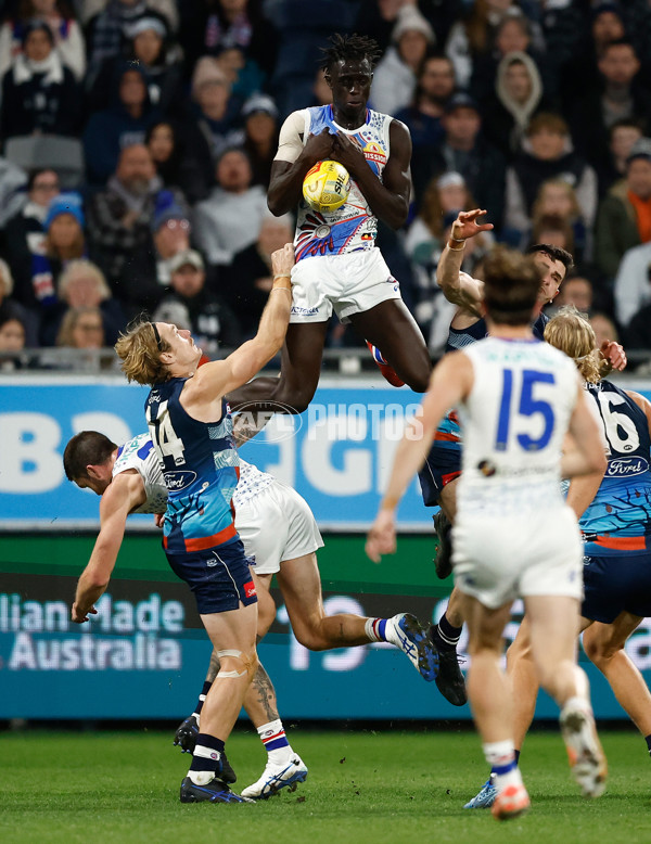 AFL 2025 Round 11 - Geelong v Western Bulldogs - A-59609548