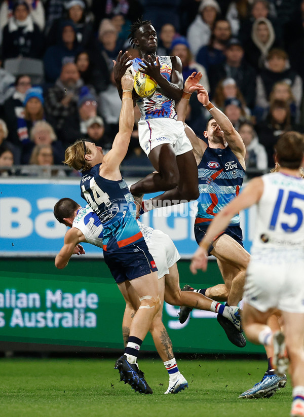 AFL 2025 Round 11 - Geelong v Western Bulldogs - A-59609549