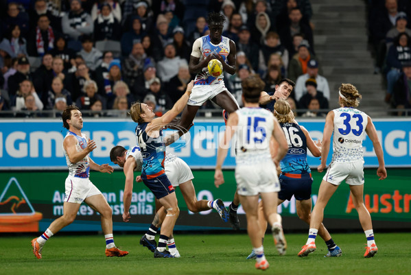 AFL 2025 Round 11 - Geelong v Western Bulldogs - A-59609550