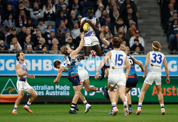 AFL 2025 Round 11 - Geelong v Western Bulldogs - A-59609551