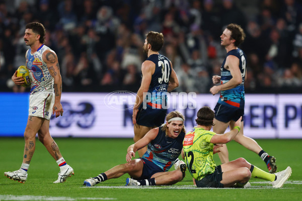 AFL 2025 Round 11 - Geelong v Western Bulldogs - A-59611396