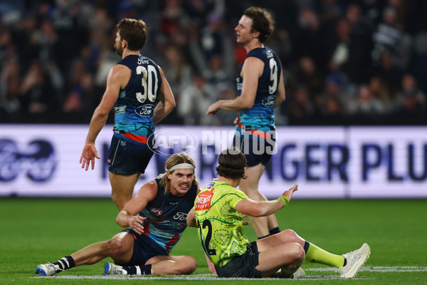 AFL 2025 Round 11 - Geelong v Western Bulldogs - A-59614348