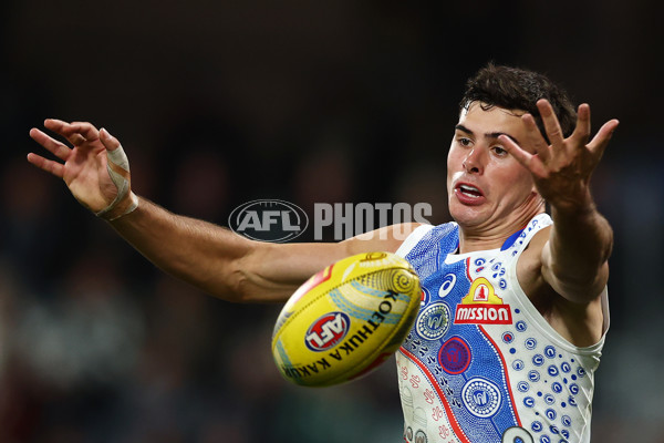 AFL 2025 Round 11 - Geelong v Western Bulldogs - A-59614352