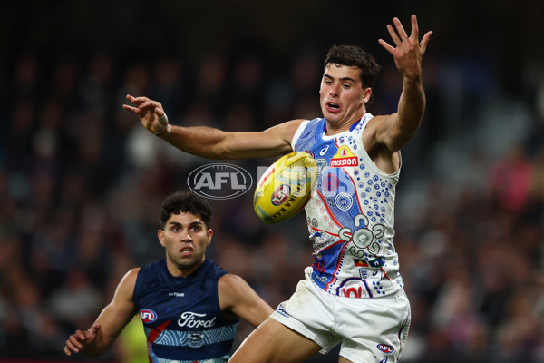 AFL 2025 Round 11 - Geelong v Western Bulldogs - A-59614353