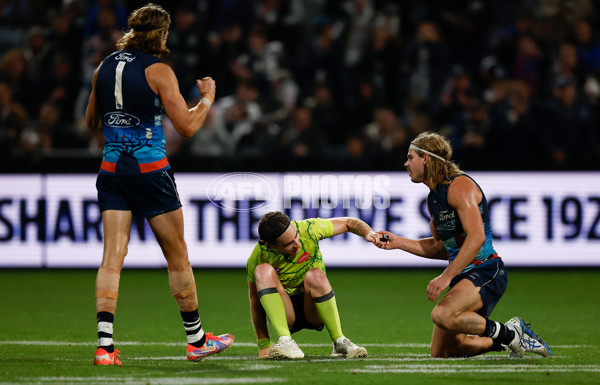 AFL 2025 Round 11 - Geelong v Western Bulldogs - A-59614390