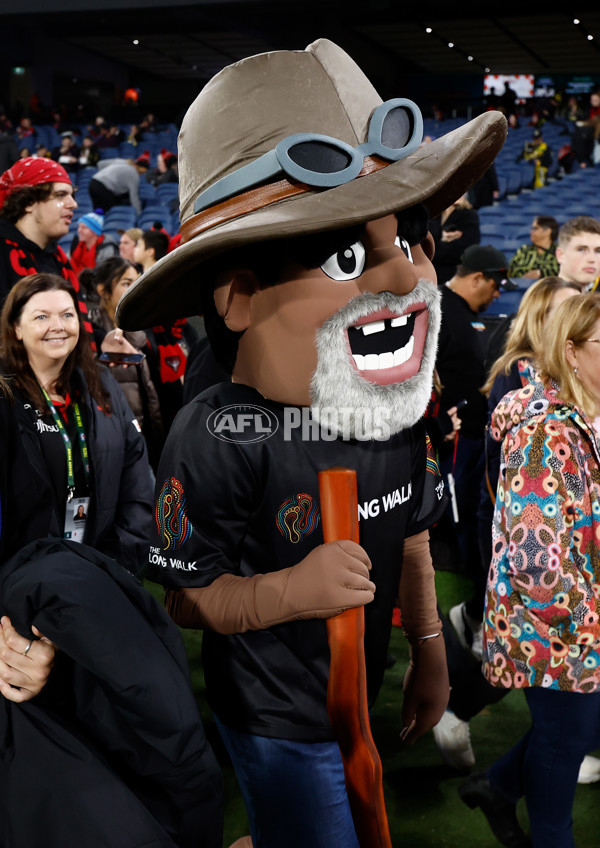 AFL 2025 Round 11 - Essendon v Richmond - A-59614726