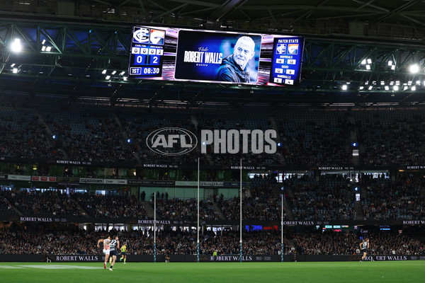 AFL 2025 Round 11 - Carlton v GWS - A-59632707