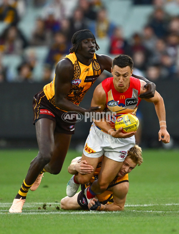 AFL 2025 Round 11 - Hawthorn v Brisbane - A-59642774