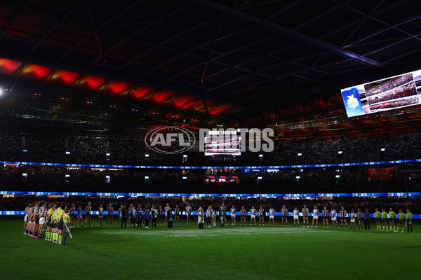 AFL 2025 Round 11 - North Melbourne v Collingwood - A-59649628