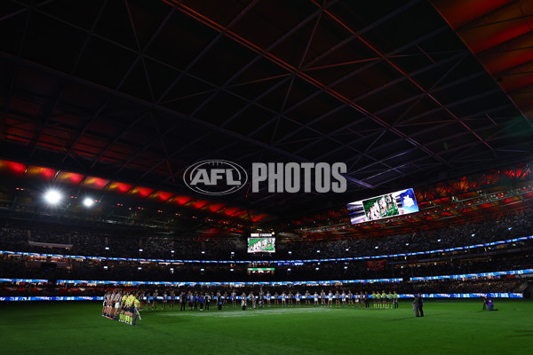 AFL 2025 Round 11 - North Melbourne v Collingwood - A-59650814