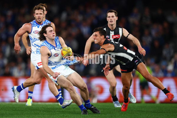 AFL 2025 Round 11 - North Melbourne v Collingwood - A-59652621
