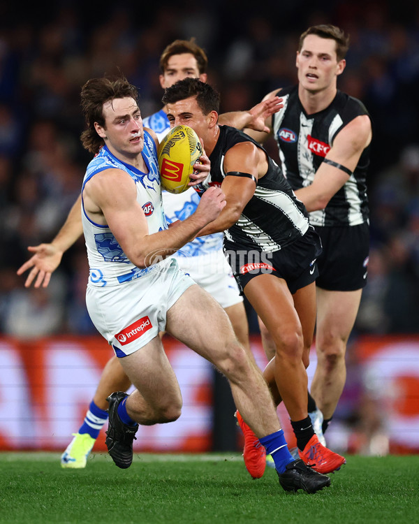 AFL 2025 Round 11 - North Melbourne v Collingwood - A-59652622
