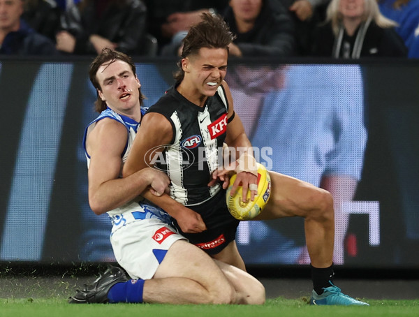 AFL 2025 Round 11 - North Melbourne v Collingwood - A-59653698