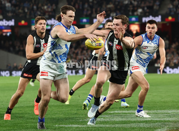 AFL 2025 Round 11 - North Melbourne v Collingwood - A-59658237