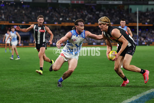 AFL 2025 Round 11 - North Melbourne v Collingwood - A-59664531