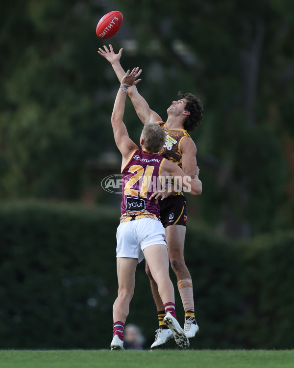 VFL 2025 Round 09 - Box Hill Hawks v Brisbane Lions - A-59673188