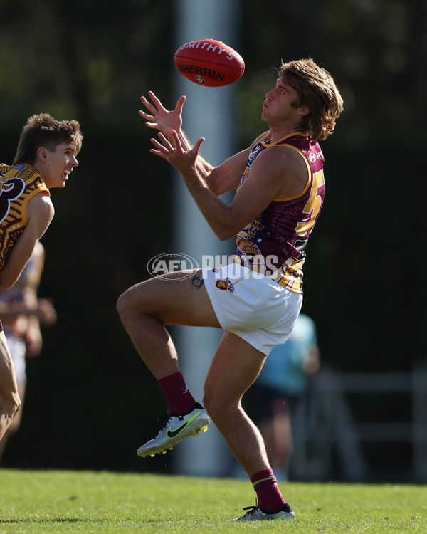VFL 2025 Round 09 - Box Hill Hawks v Brisbane Lions - A-59675294
