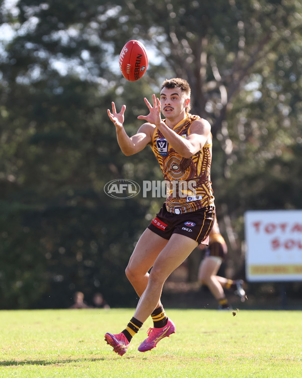 VFL 2025 Round 09 - Box Hill Hawks v Brisbane Lions - A-59676254
