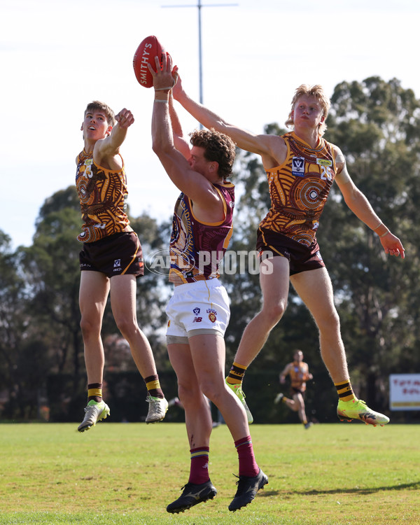 VFL 2025 Round 09 - Box Hill Hawks v Brisbane Lions - A-59676257