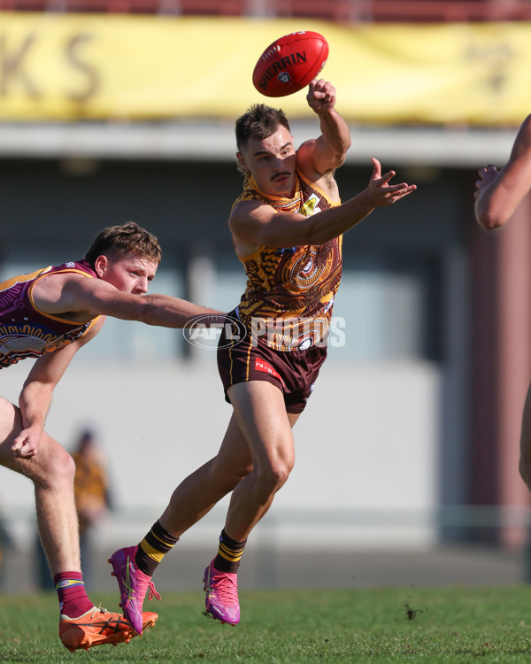 VFL 2025 Round 09 - Box Hill Hawks v Brisbane Lions - A-59676274