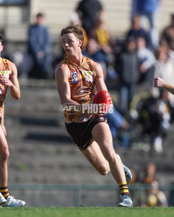 VFL 2025 Round 09 - Box Hill Hawks v Brisbane Lions - A-59676282