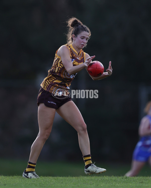 VFLW 2025 Round 06 - Box Hill Hawks v Western Bulldogs - A-59676329