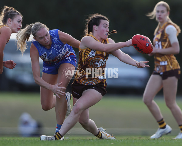 VFLW 2025 Round 06 - Box Hill Hawks v Western Bulldogs - A-59676333