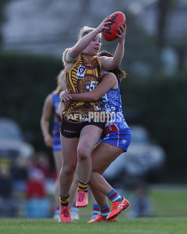 VFLW 2025 Round 06 - Box Hill Hawks v Western Bulldogs - A-59676334