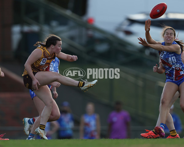 VFLW 2025 Round 06 - Box Hill Hawks v Western Bulldogs - A-59676337
