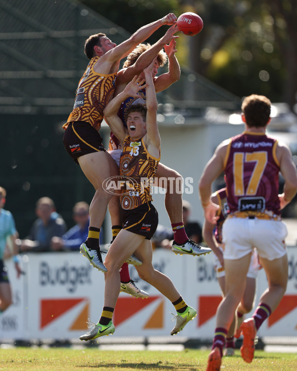 VFL 2025 Round 09 - Box Hill Hawks v Brisbane Lions - A-59677775