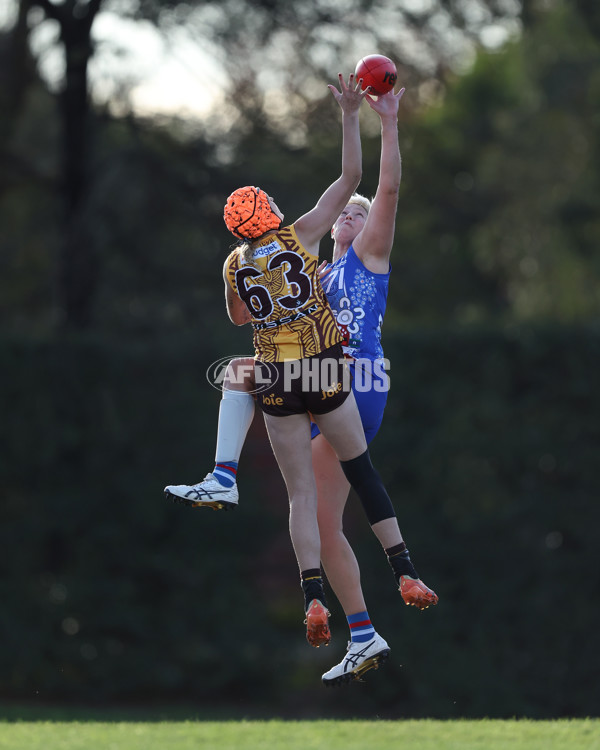 VFLW 2025 Round 06 - Box Hill Hawks v Western Bulldogs - A-59677845