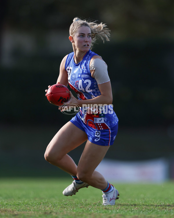 VFLW 2025 Round 06 - Box Hill Hawks v Western Bulldogs - A-59679199