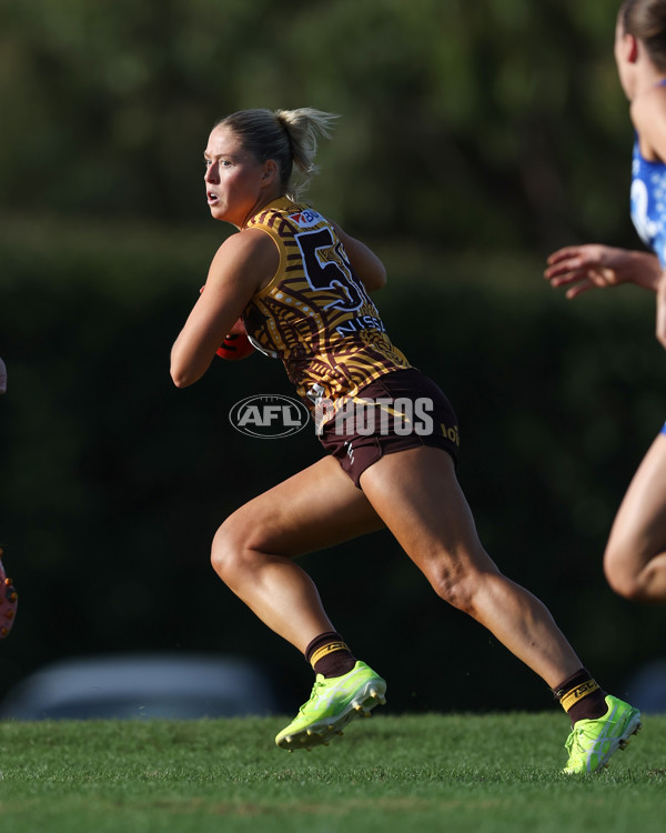VFLW 2025 Round 06 - Box Hill Hawks v Western Bulldogs - A-59679220
