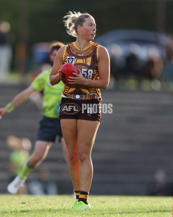 VFLW 2025 Round 06 - Box Hill Hawks v Western Bulldogs - A-59680804