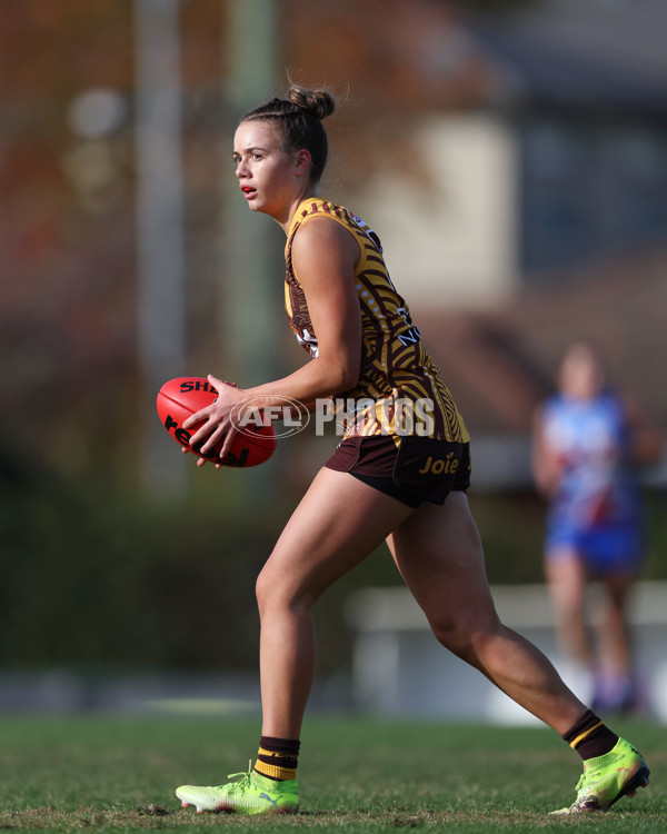 VFLW 2025 Round 06 - Box Hill Hawks v Western Bulldogs - A-59680838