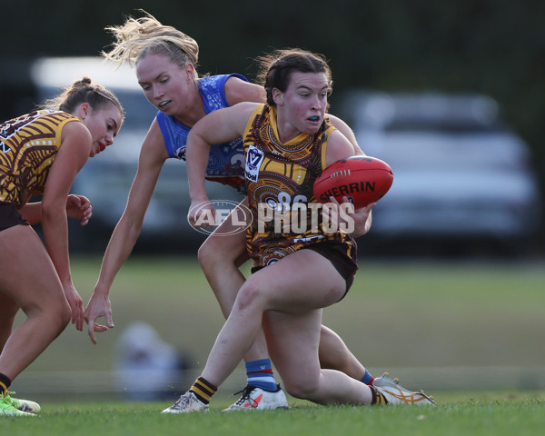 VFLW 2025 Round 06 - Box Hill Hawks v Western Bulldogs - A-59680845