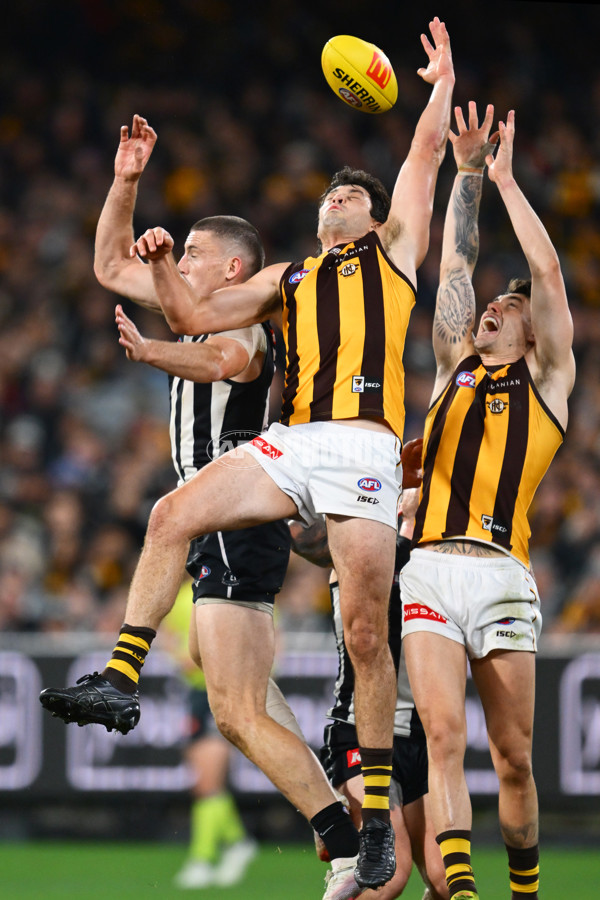 AFL 2025 Round 12 - Collingwood v Hawthorn - A-59745470
