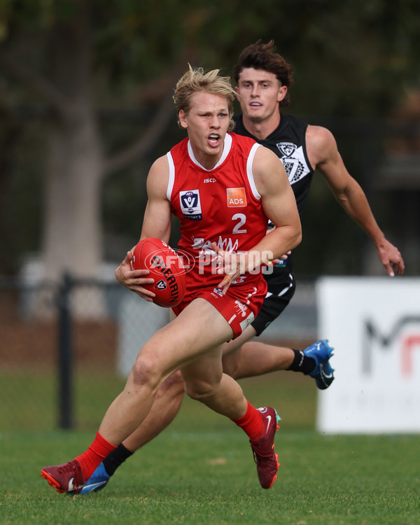 VFL 2025 Round 10 - Northern Bullants v Southport Sharks - A-59748309