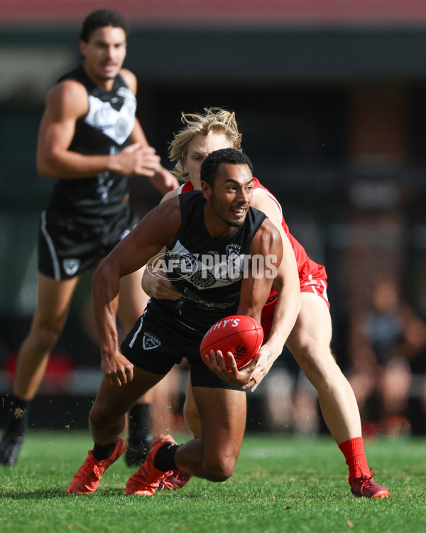 VFL 2025 Round 10 - Northern Bullants v Southport Sharks - A-59755978