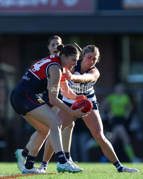VFLW 2025 Round 07 - Darebin Falcons v Geelong Cats - A-59765623
