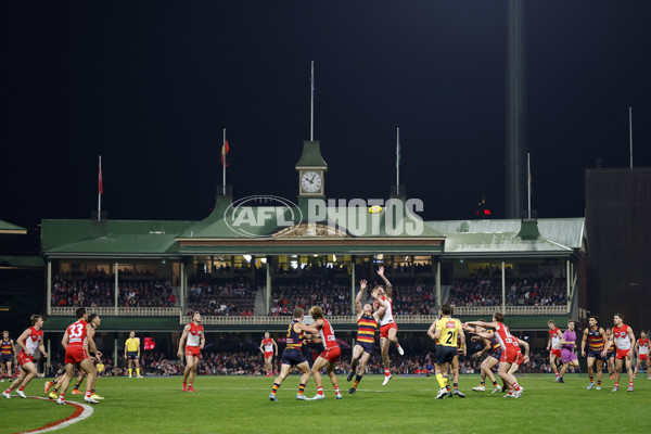 AFL 2025 Round 12 - Sydney v Adelaide - A-59776421